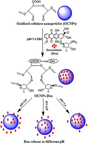 Applications of Cellulose-Based Nanomaterials for Sustainability and Therapeutics: A Review