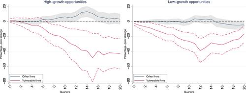 Corporate debt booms, financial constraints, and the investment nexus