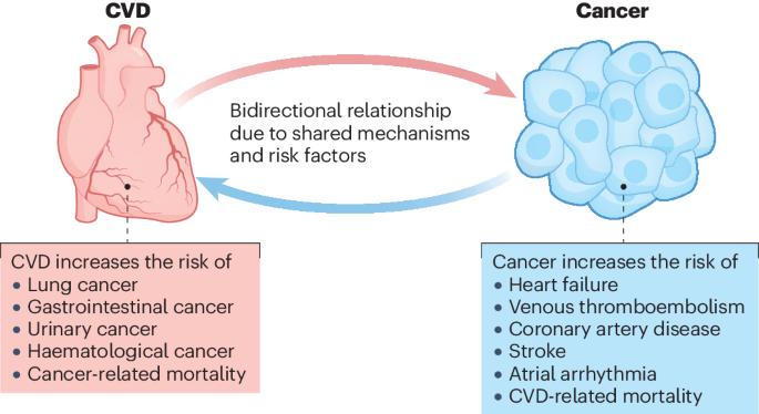 Cardiovascular disease and cancer: shared risk factors and mechanisms