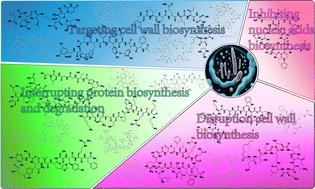 Medium-sized peptides from microbial sources with potential for antibacterial drug development†