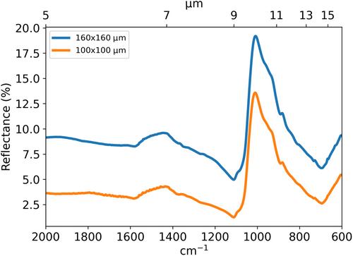 Coevolution of phyllosilicate, carbon, sulfide, and apatite in Ryugu's parent body