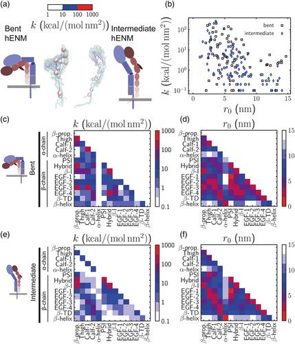 Contributions of the individual domains of αIIbβ3 integrin to its extension: Insights from multiscale modeling