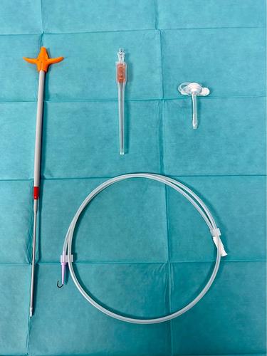 Single-step, non-surgical placement of permanent low-profile cystostomy tubes in dogs: 10 cases (2018-2023)