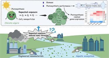 Repeated release of cerium oxide nanoparticles altered algal responses: Growth, photosynthesis, and photosynthetic gene expression