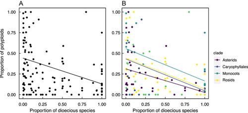 Rethinking pathways to the dioecy–polyploidy association: Genera with many dioecious species have fewer polyploids