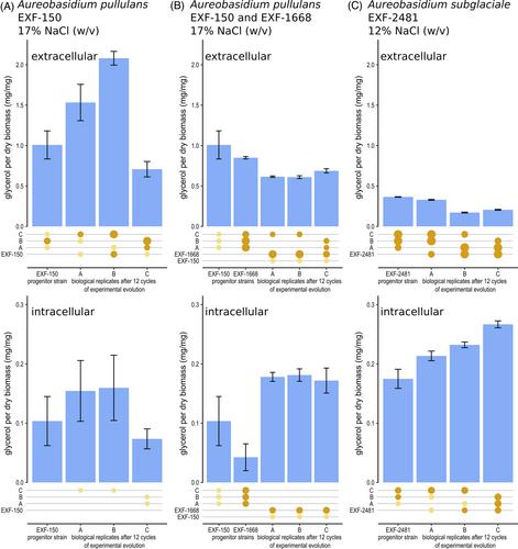 Experimental evolution of extremotolerant and extremophilic fungi under osmotic stress