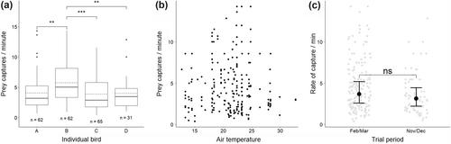 Good vibrations: remote-tactile foraging success of wading birds is positively affected by the water content of substrates they forage in