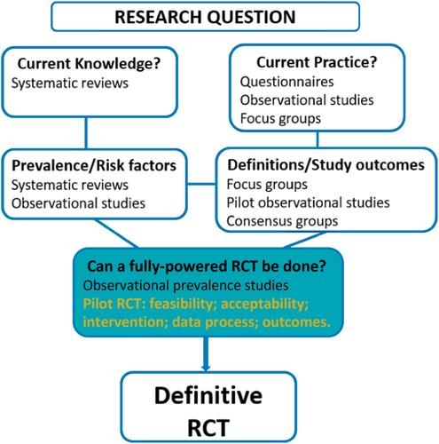 Methodological progress note: Pilot randomized controlled trials