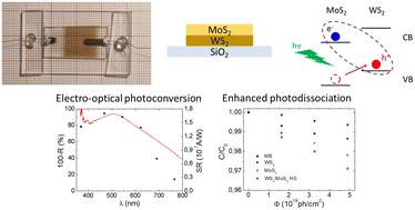 Large area van der Waals MoS2–WS2 heterostructures for visible-light energy conversion†