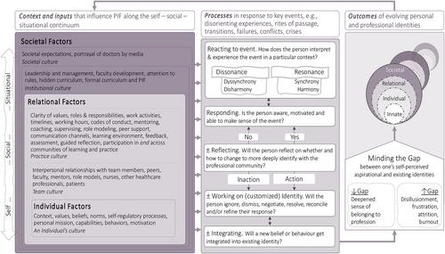 A scoping review and theory-informed conceptual model of professional identity formation in medical education