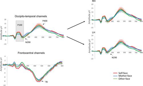 This is me! Neural correlates of self-recognition in 6- to 8-month-old infants