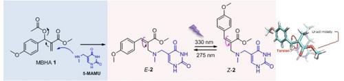 Preparation of Light-responsive Unnatural RNA Bases via a Chromogenic Morita-Baylis-Hillman Adduct Path