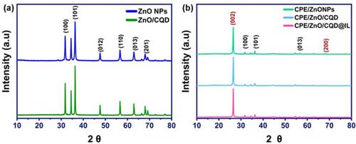 Ionic liquid and ZnO/carbon quantum dots derived from cat hair as an electrochemical sensor for ciprofloxacin in food samples: Experimental and cell-imaging studies