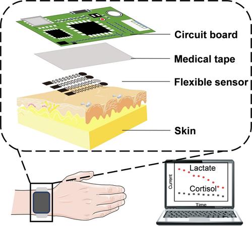 Flexible Dual-Channel Molecularly Imprinted Electrochemical Sensor for Simultaneously Monitoring Sweat Cortisol and Lactate Levels