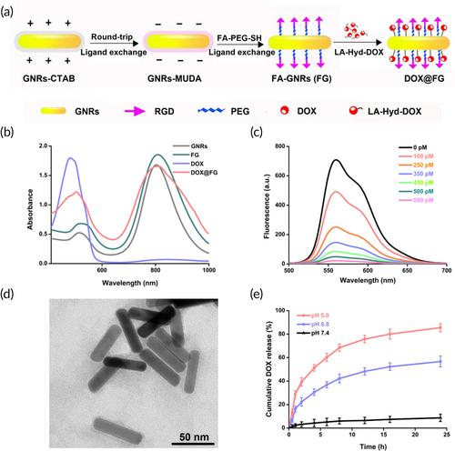 Two-pronged reversal of chemotherapy resistance by gold nanorods induced mild photothermal effect