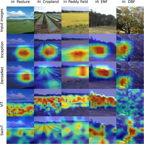 Investigating the use of deep learning models for land cover classification from street-level imagery