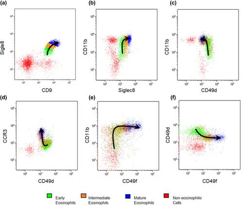 Flow cytometric immunophenotypic differentiation patterns of bone marrow eosinophilopoiesis