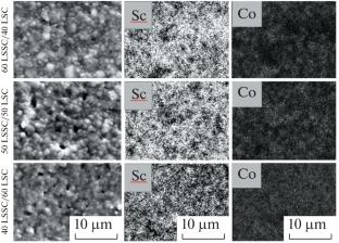 The Lanthanum-Scandate- and Lanthanum-Cobaltite-Based Composite Materials for Proton–Ceramic Electrochemical Devices