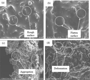 Optimization of Process Parameters Using Response Surface Methodology for Essential Oil Extraction from Canarium odontophyllum Kernels by Subcritical Water Treatment