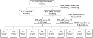 Neuroprotective Effect of Sterculia setigera Leaves Hydroethanolic
            Extract