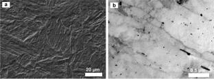 Microstructure and hydrogen embrittlement of Q690 bainitic steel welded using electron beam