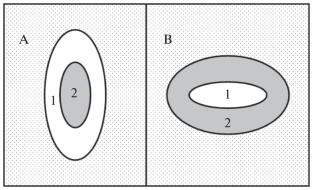 Features of Magnetooptical Spectra of the Transverse Kerr Effect in CoPt Nanostructures