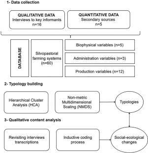 Navigating social–ecological changes: A mixed-method analysis of extensive livestock systems in southern Patagonian forests, Argentina