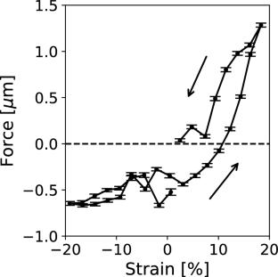 The mechanical effects of chemical stimuli on neurospheres