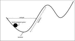 Toward a critical theory of social–ecological resilience: Maize and cattle in Southern Province, Zambia