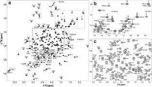 Solution NMR chemical shift assignment of apo and molybdate-bound ModA at two pHs