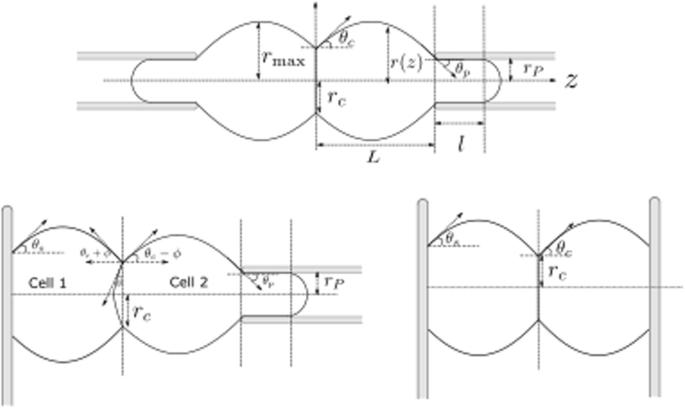 Quantitative comparison of cell–cell detachment force in different experimental setups