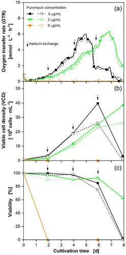 Online monitoring of the respiration activity in 96-deep-well microtiter plate Chinese hamster ovary cultures streamlines kill curve experiments