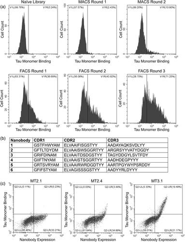 Development of a pan-tau multivalent nanobody that binds tau aggregation motifs and recognizes pathological tau aggregates