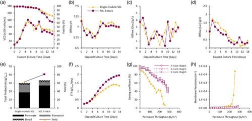 Improved sieving coefficient in perfusion cell culture with reduced effective filtration length of hollow fibers