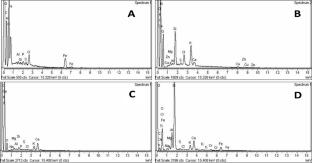 Evaluation of rice straw, biochar and green material for soil remediation: a case study in Kasur, Pakistan