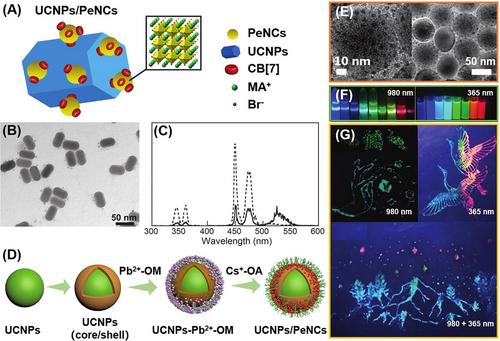 The marriage of perovskite nanocrystals with lanthanide-doped upconversion nanoparticles for advanced optoelectronic applications