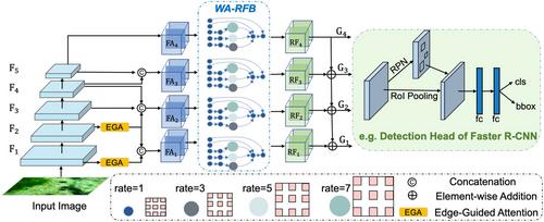 Edge-guided representation learning for underwater object detection