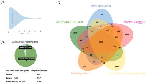 Transcriptome-wide analysis uncovers regulatory elements of the antennal transcriptome repertoire of bumblebee at different life stages