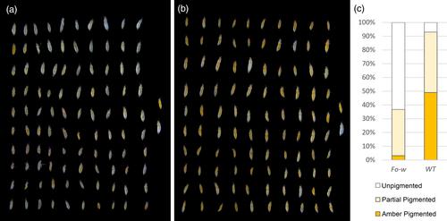 CRISPR/Cas9-mediated genome editing of Frankliniella occidentalis, the western flower thrips, via embryonic microinjection