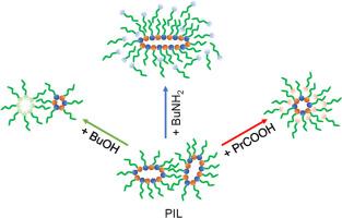 The different structure and properties of protic ionic liquid in alcohol from acid and base: butylammonium butyrate mixing with butanol, butyric acid, and butylamine respectively