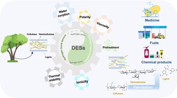 Deep eutectic solvents for fractionation and valorization of lignocellulose