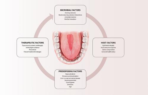 Pathophysiological microenvironments in oral candidiasis