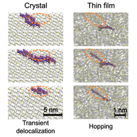 Disorder-Induced Transition from Transient Quantum Delocalization to Charge Carrier Hopping Conduction in a Nonfullerene Acceptor Material