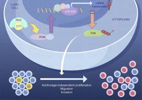 KRAS/PI3K axis driven GTF3C6 expression and promotes LUAD via FAK pathway