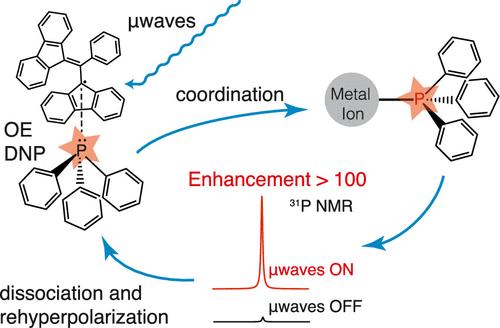 Probing Homogeneous Catalysts and Precatalysts in Solution by Exchange-Mediated Overhauser Dynamic Nuclear Polarization NMR