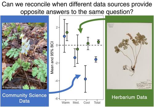 Phenological mismatch between trees and wildflowers: Reconciling divergent findings in two recent analyses