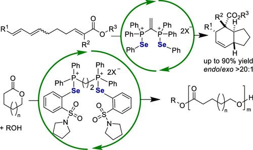 Weak Interaction Activates Esters: Reconciling Catalytic Activity and Turnover Contradiction by Tailored Chalcogen Bonding