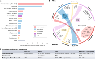 Developmental origins shape the paediatric cancer genome