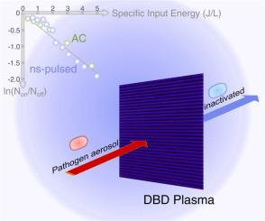 Air disinfection by nanosecond pulsed DBD plasma