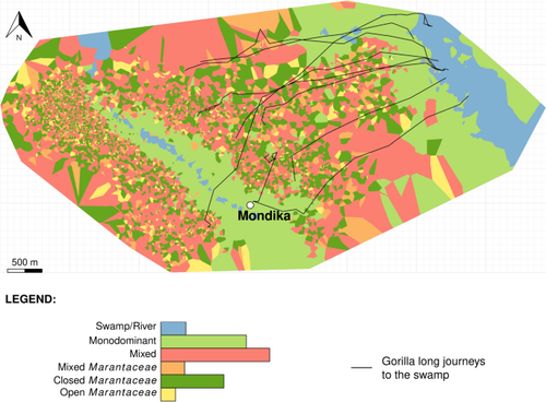 Changes in movement patterns in relation to sun conditions and spatial scales in wild western gorillas